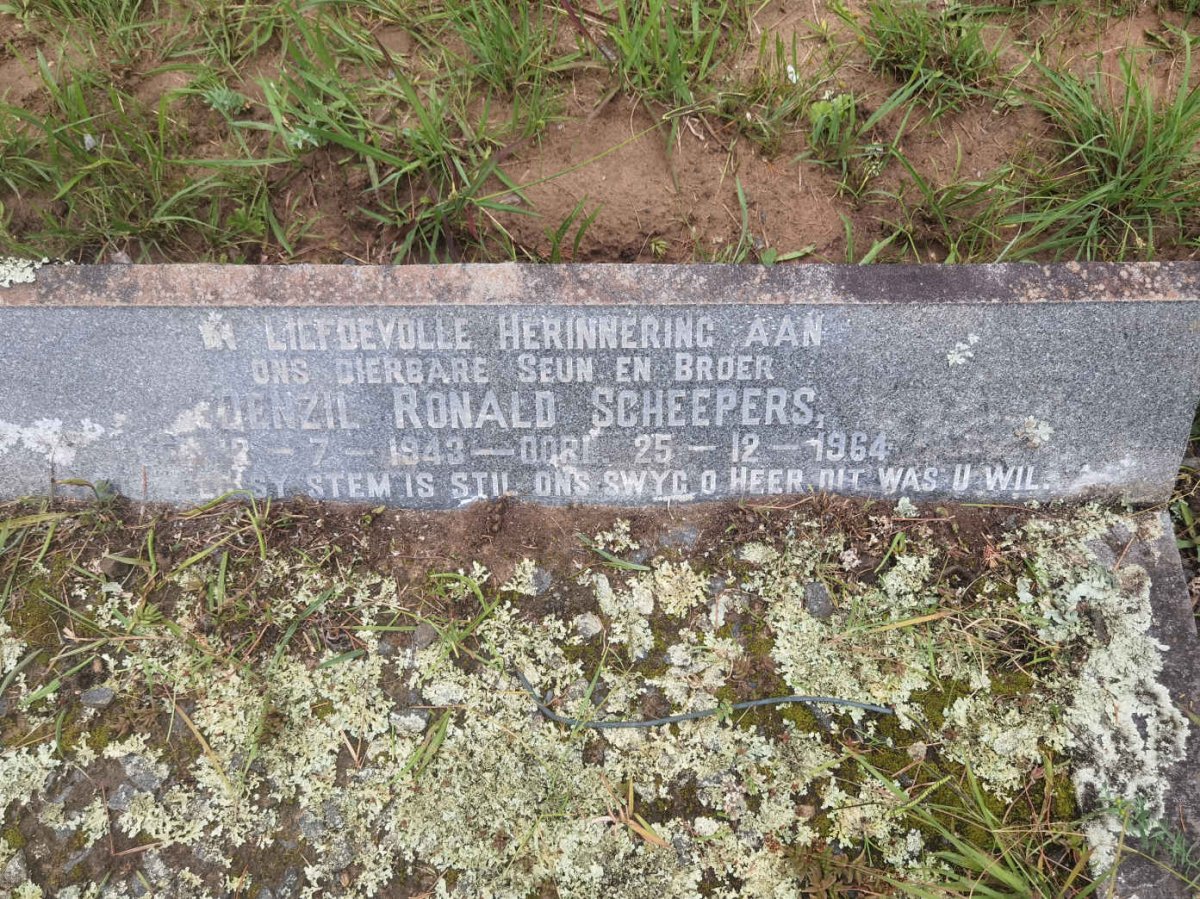 SCHEEPERS Denzil Ronald 1943-1964