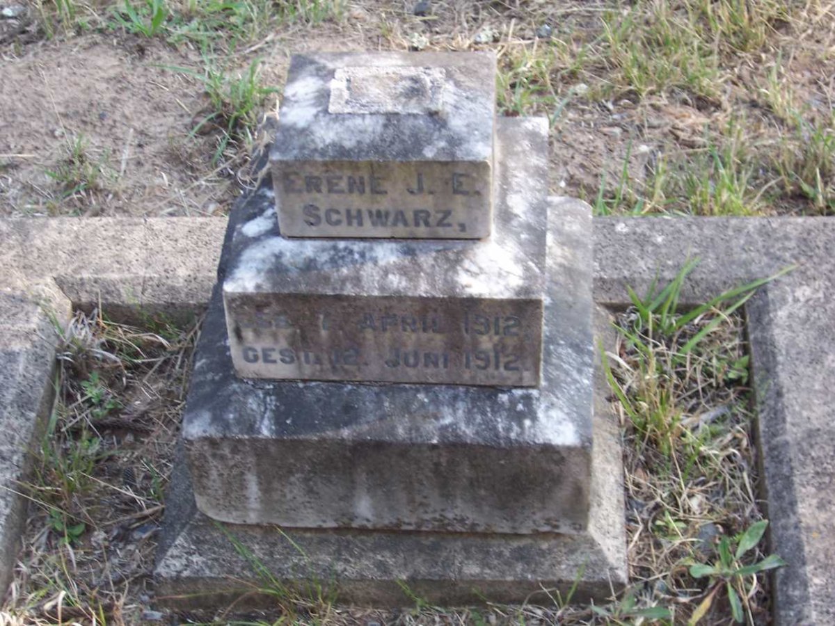 SCHWARZ Erene J.E. 1912-1912