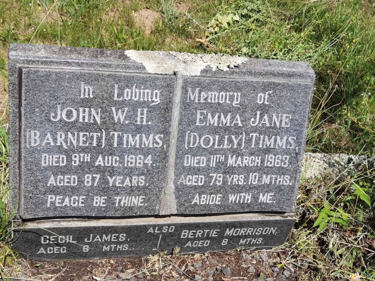 TIMMS John W.H. -1964 &amp; Emma Jane -1963 :: TIMMS Cecil James :: TIMMS Bertie Morrison