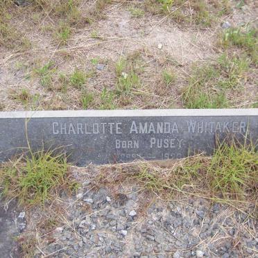 WHITAKER Charlotte Amanda nee PUSEY 1899-1929