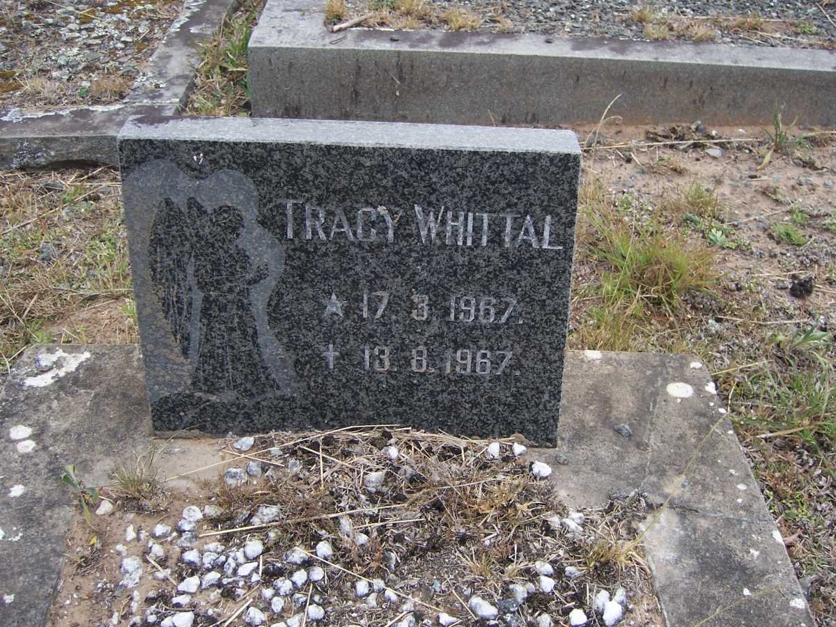 WHITTAL Tracy 1967-1967