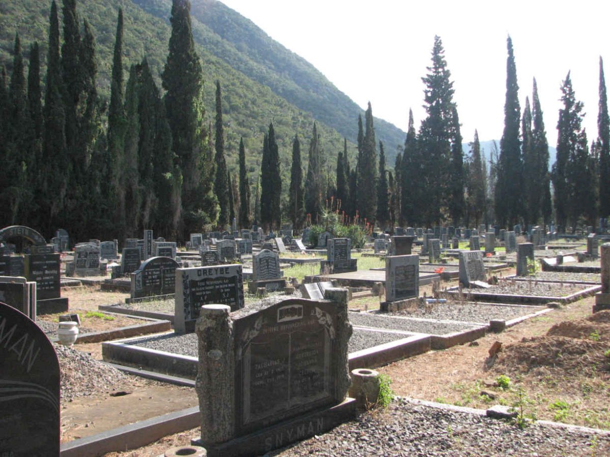3. Overview