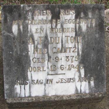 TOIT A.F., du 1875-1948