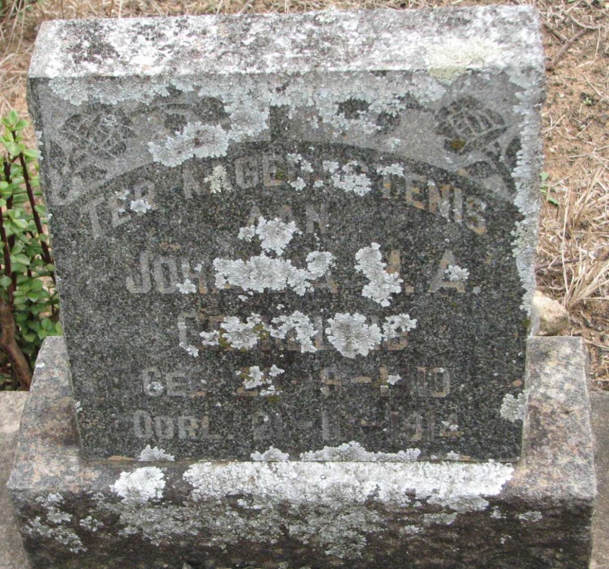 ?  ?LIN ? Johanna ?.A. 1910-1914
