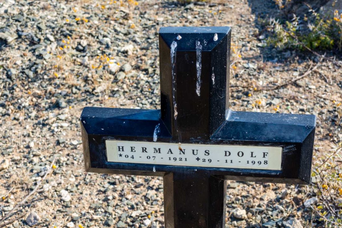 DOLF Hermanus 1921-1998