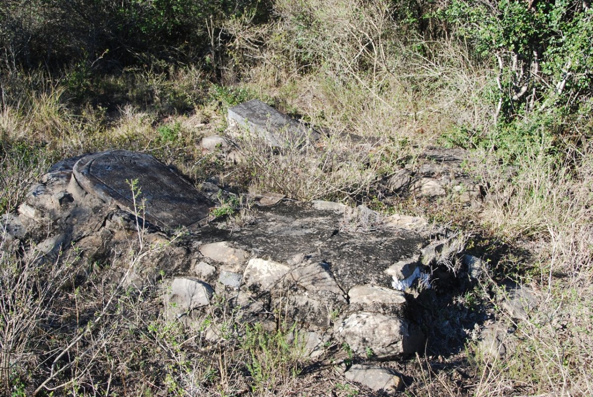 1. Overview