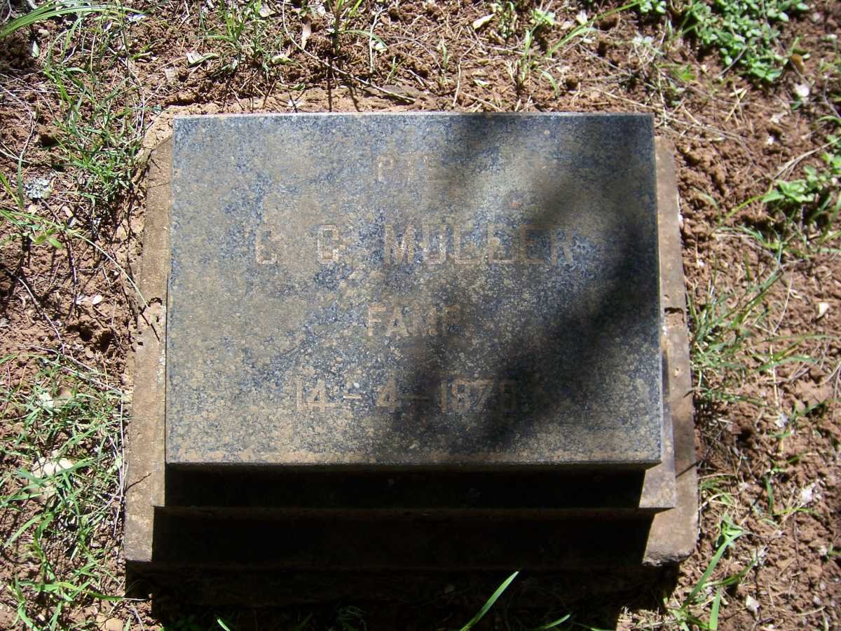 MULLER C.G. -1878