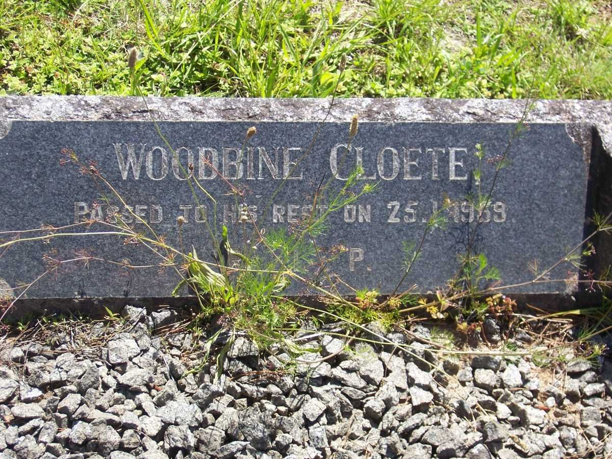 CLOETE Woodbine -1959