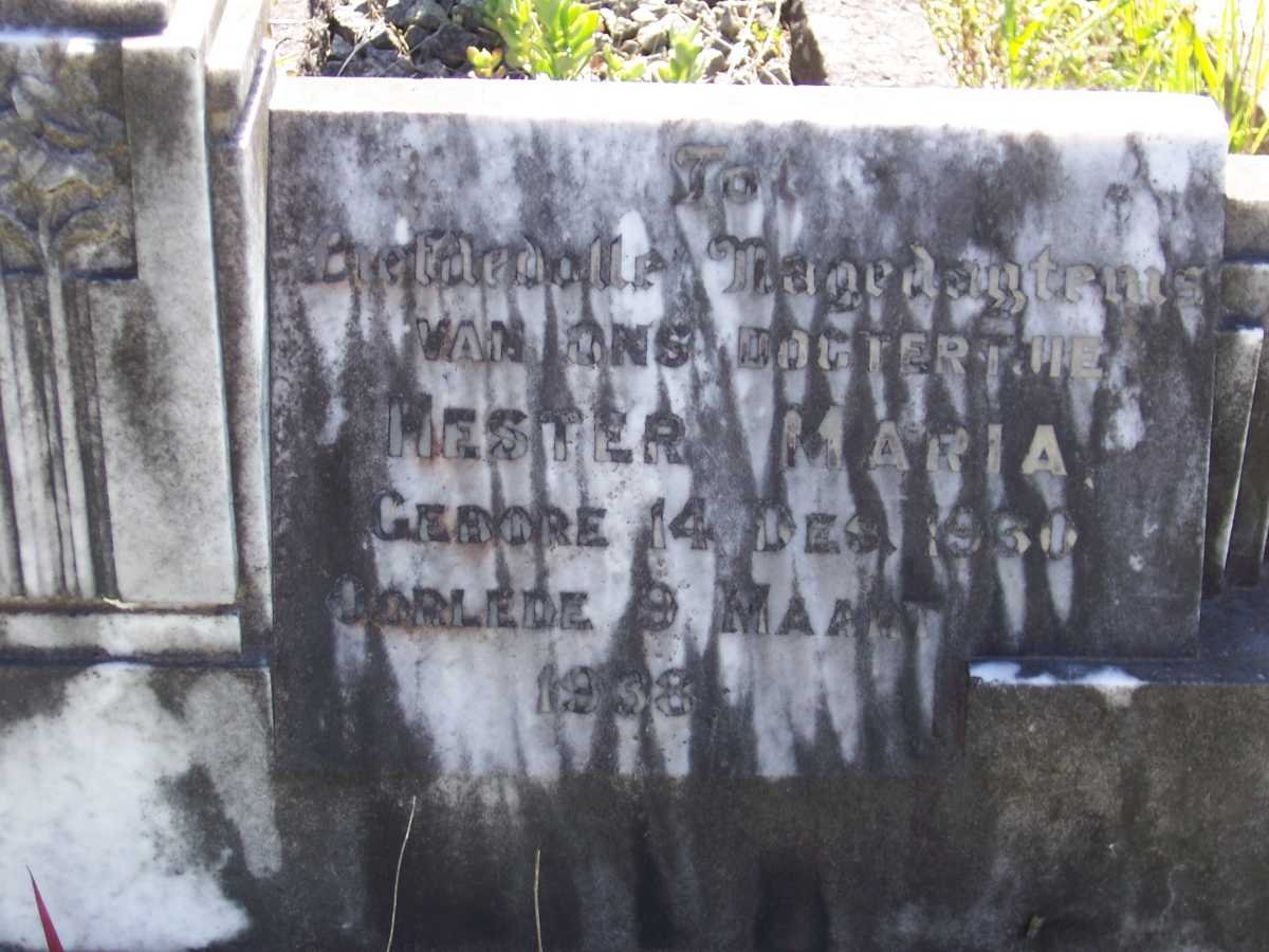 ? Hester Maria 1931-1938