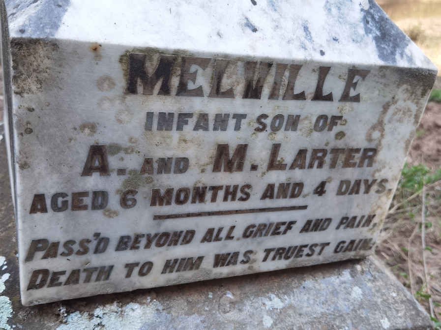 LARTER Melville