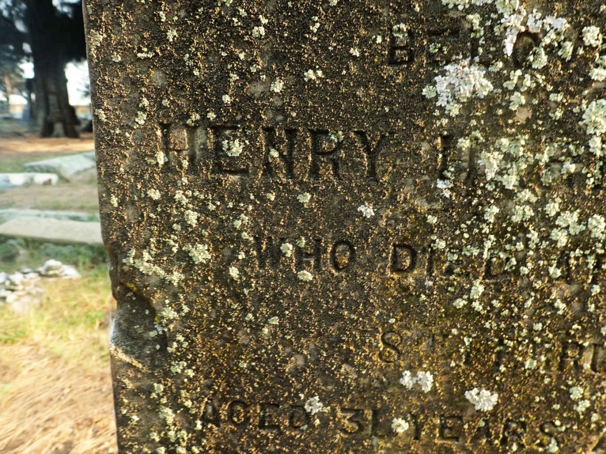 WELLS Henry Harrison -1890