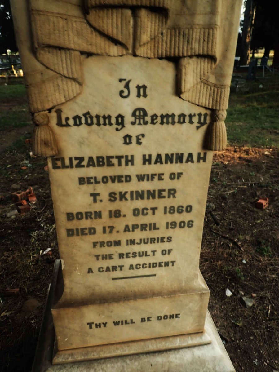 SKINNER Elizabeth Hannah 1860-1906
