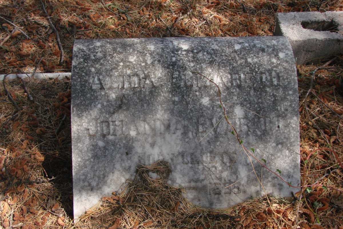 EVERITT Alida Elizabeth Johanna