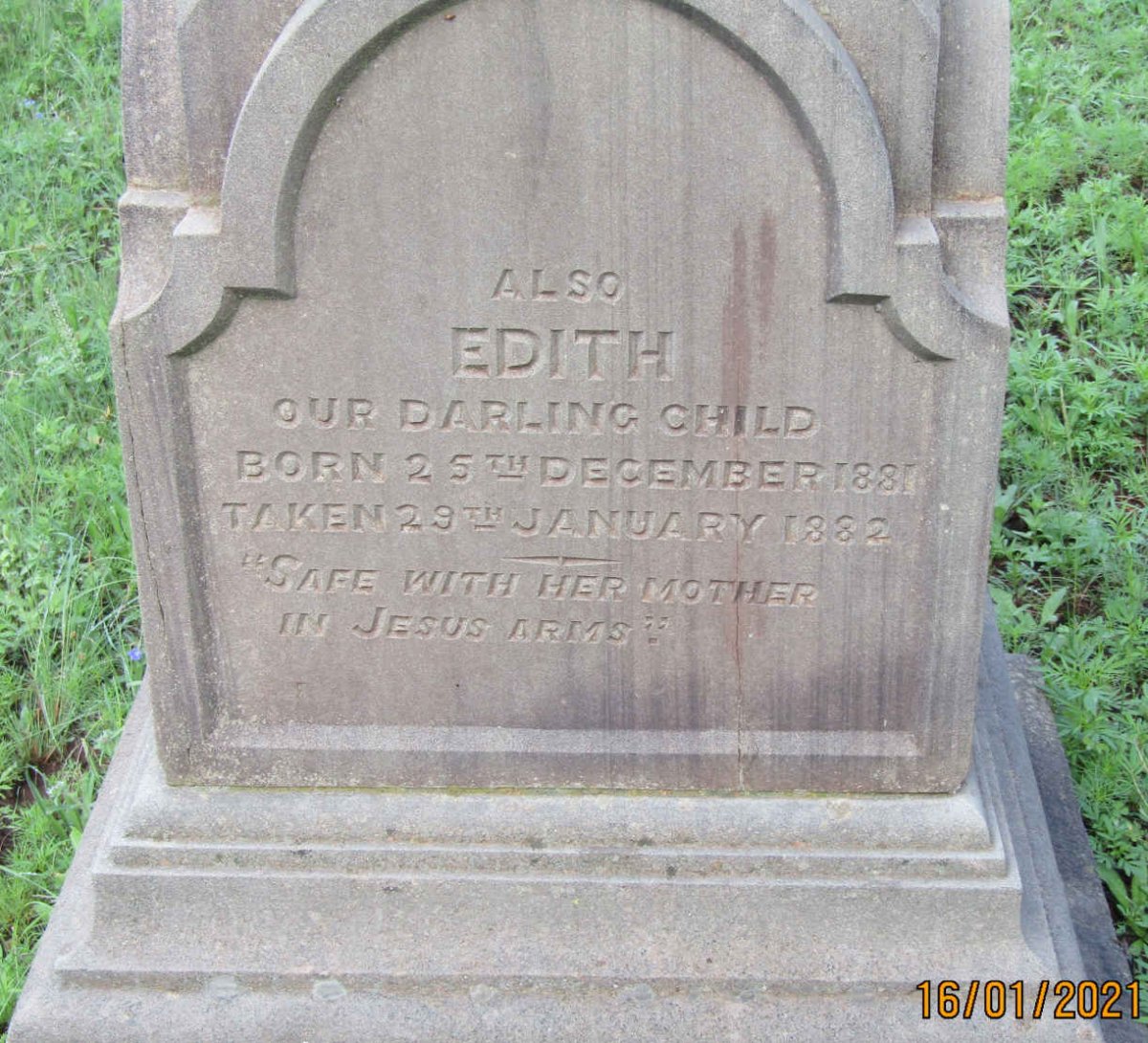 NESBITT Edith 1881-1882