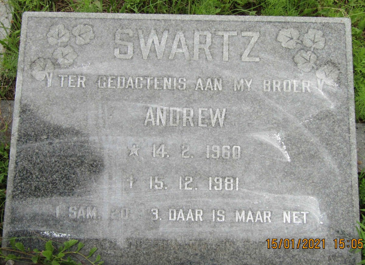 SWARTZ Andrew 1960-1981