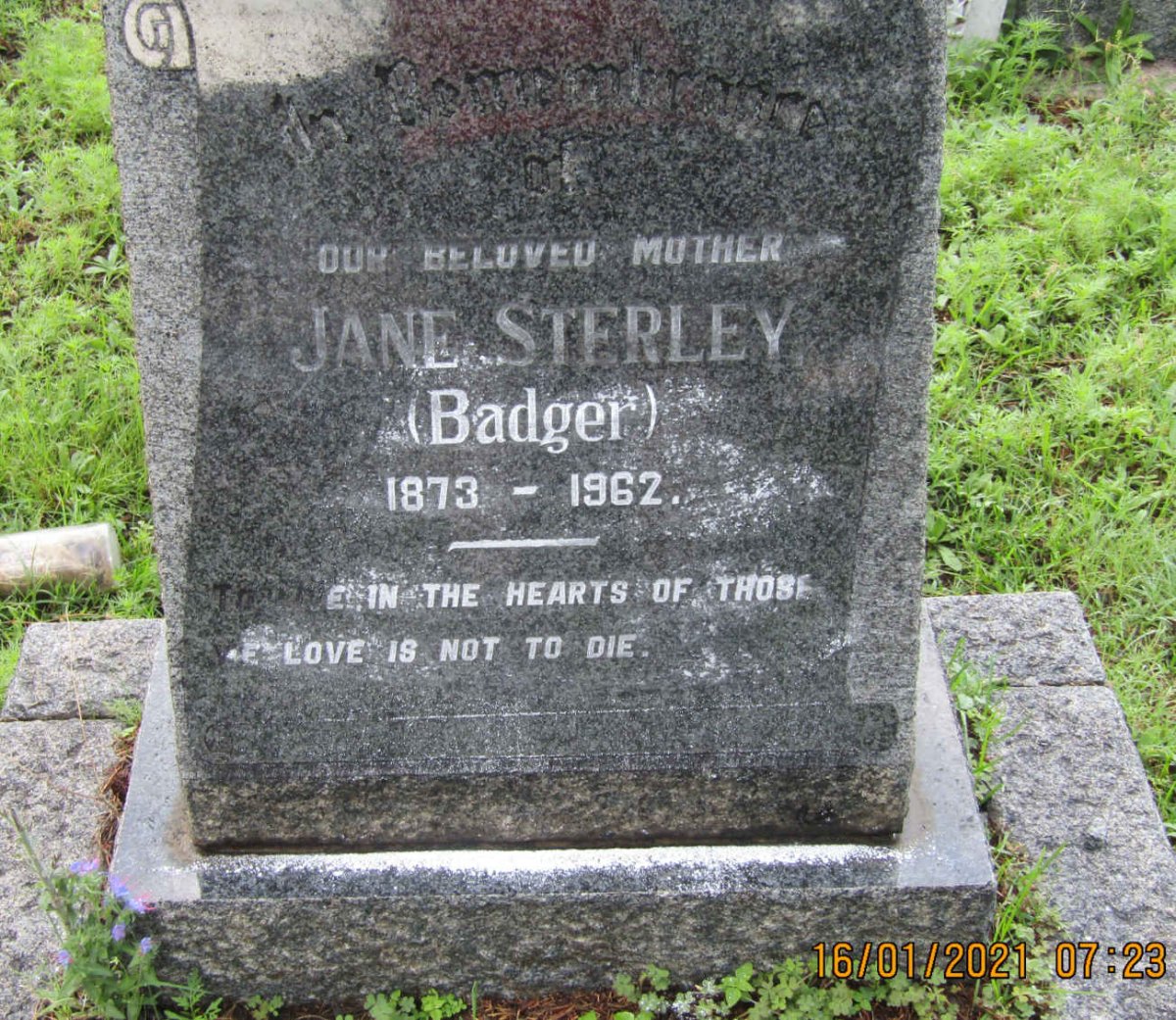 STERLEY Jane nee BADGER 1873-1962