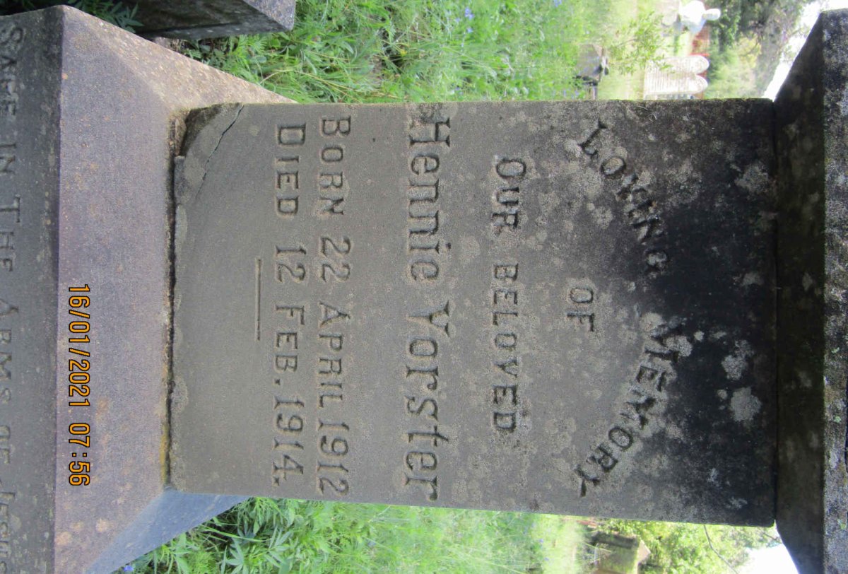 VORSTER Hennie 1912-1914