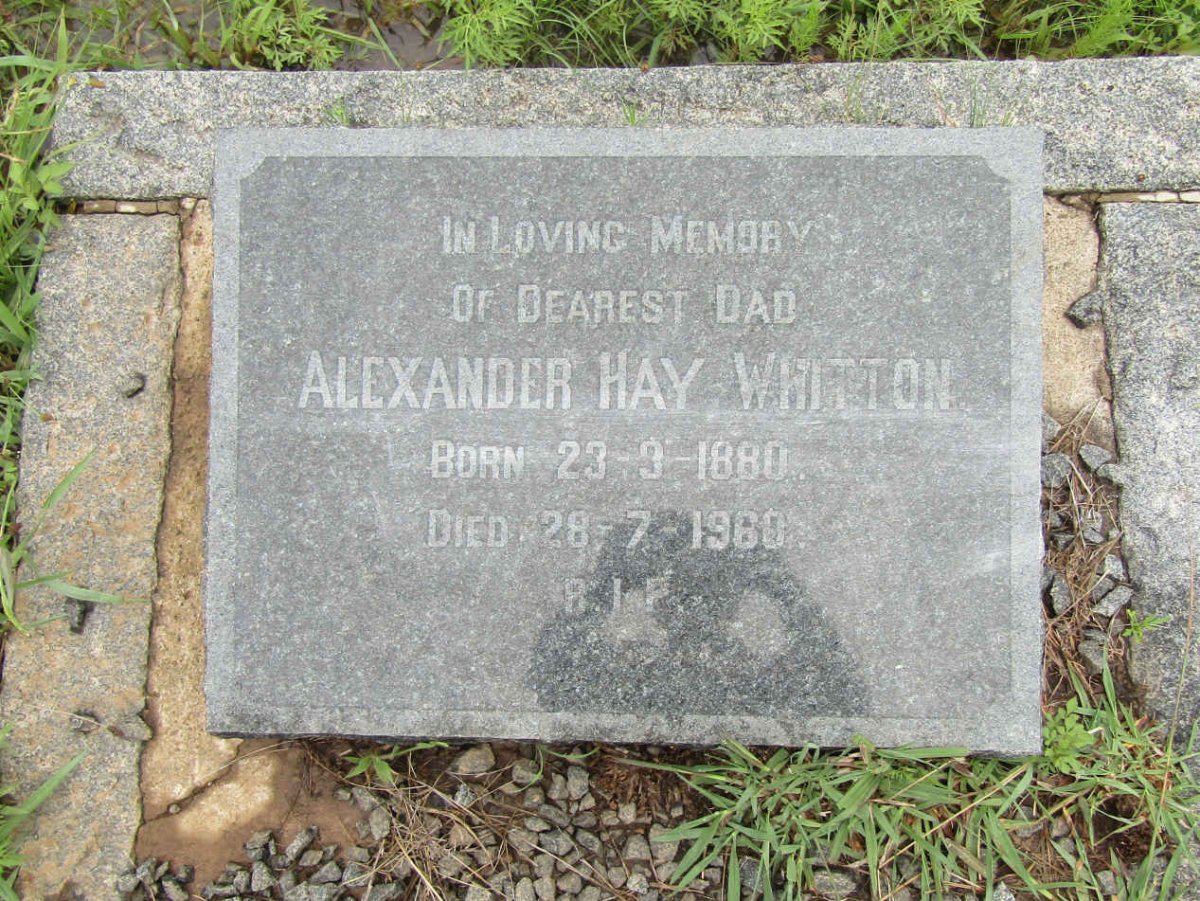 WHITTON Alexander Hay 1880-1960