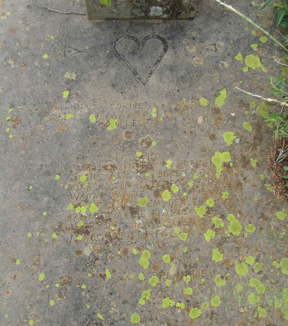 ? Johanna Corliena