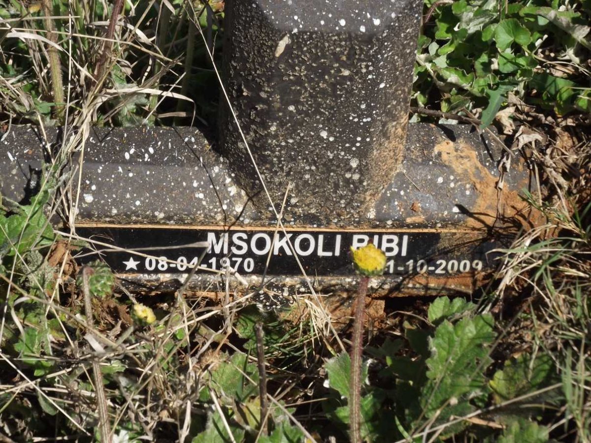 BIBI Msokoli 1970-2009