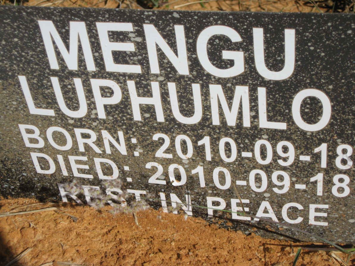 MENGU Luphumlo 2010-2010