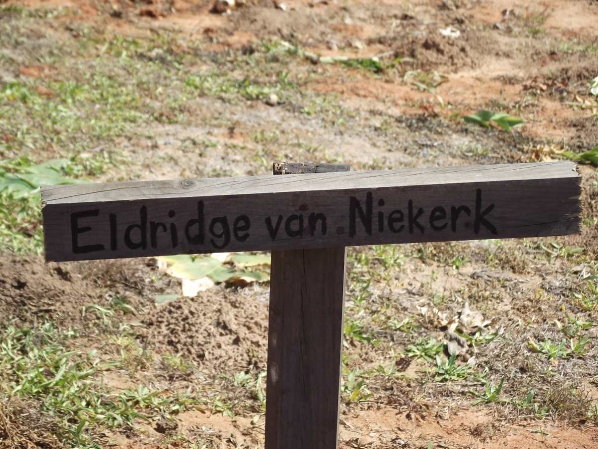 NIEKERK Eldridge, van