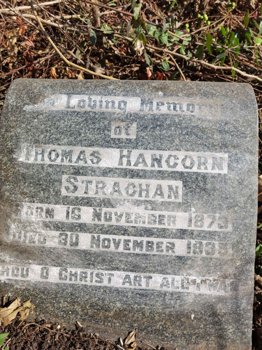 STRACHAN Thomas Hancorn 1873-1935