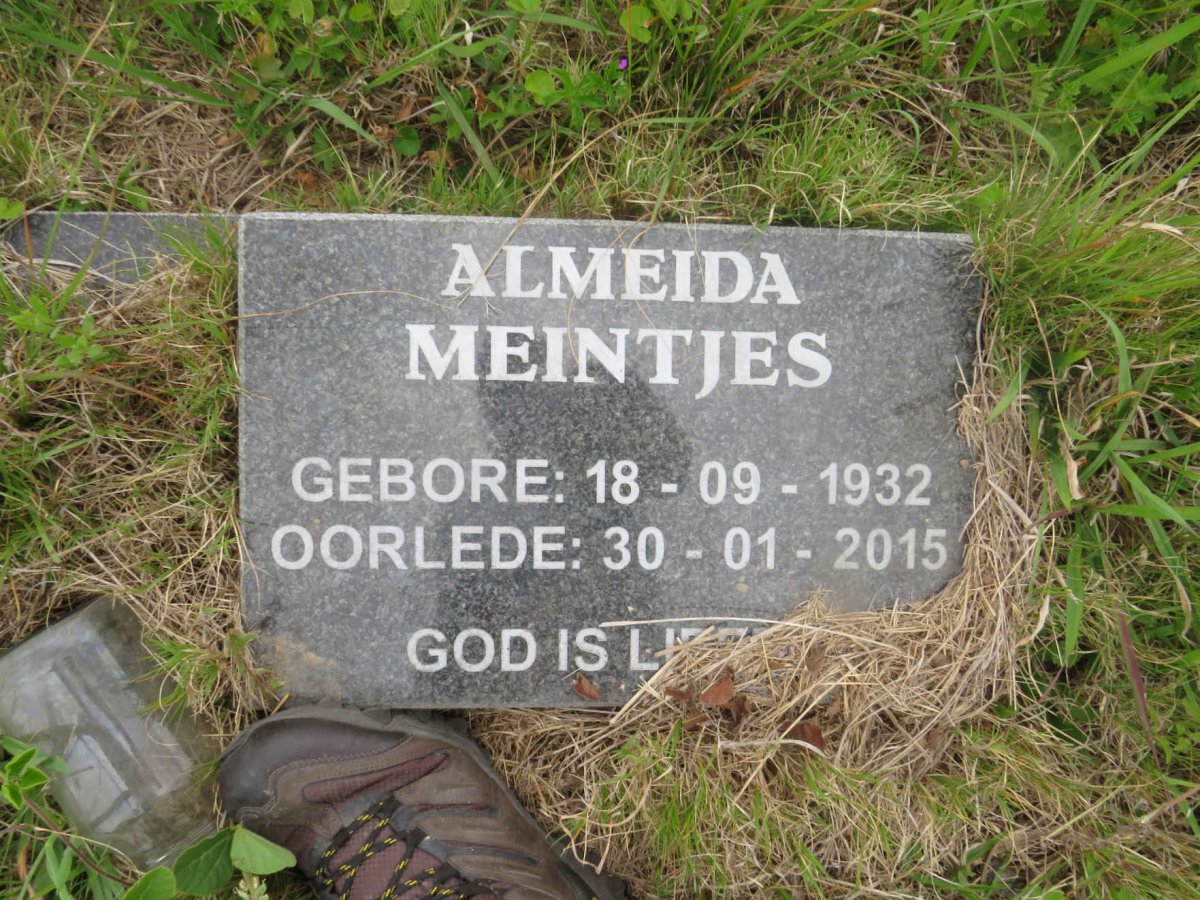 MEINTJES Almeida 1932-2015