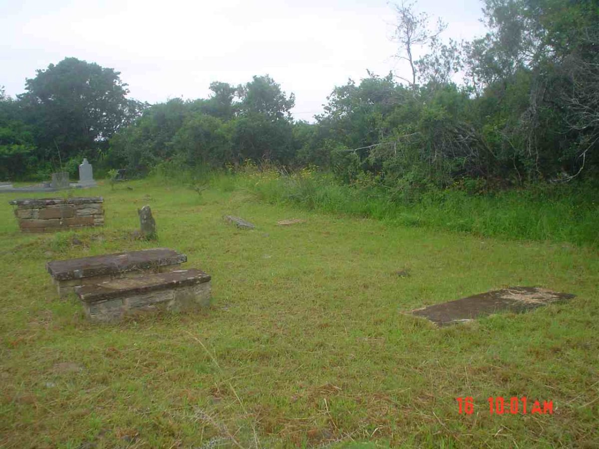 3. Overview
