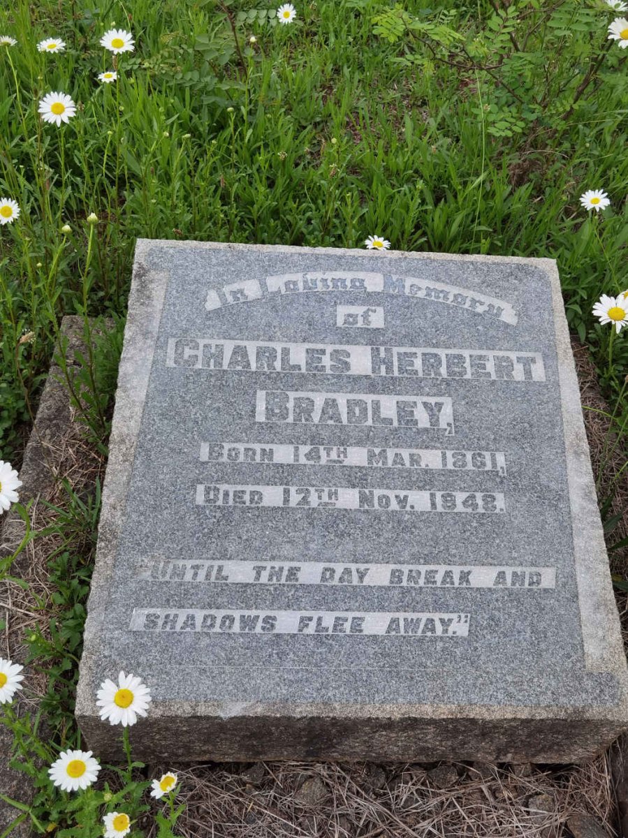 BRADLEY Charles Herbert 1861-1948