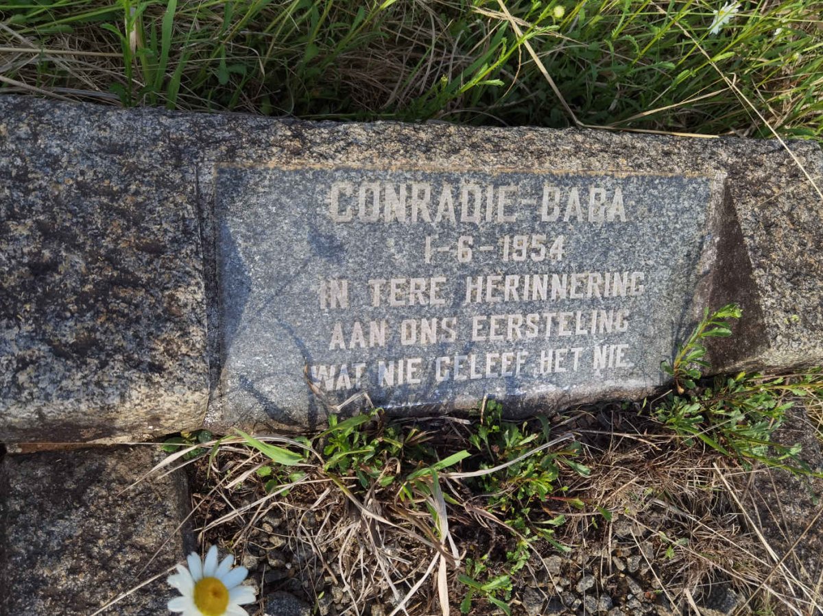 CONRADIE -1954