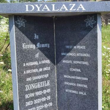 D - Vanne :: Surnames - D