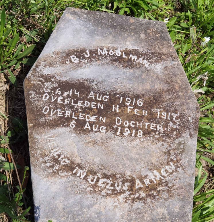 MOOLMAN 1916-1917 :: MOOLMAN -1918