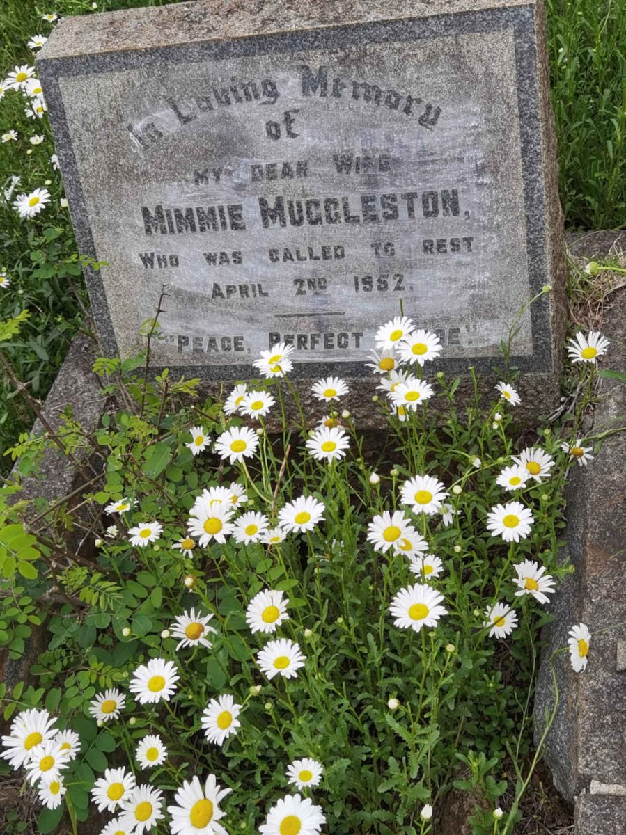 MUGGLESTON Mimmie -1952