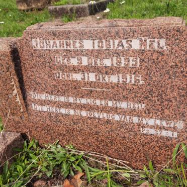NEL Johannes Tobias 1895-1916