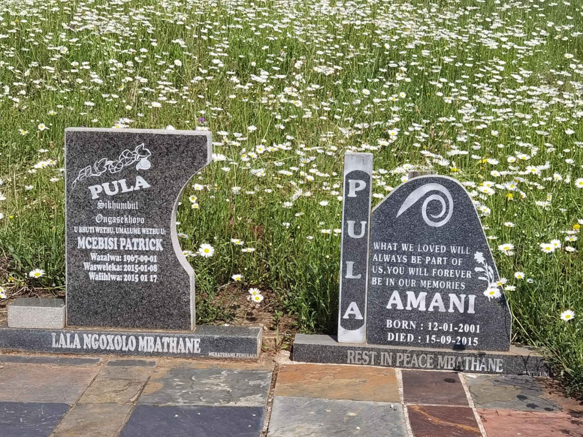 PULA Mcebisi Patrick 1967-2015 :: PULA  Amani 2001-2015
