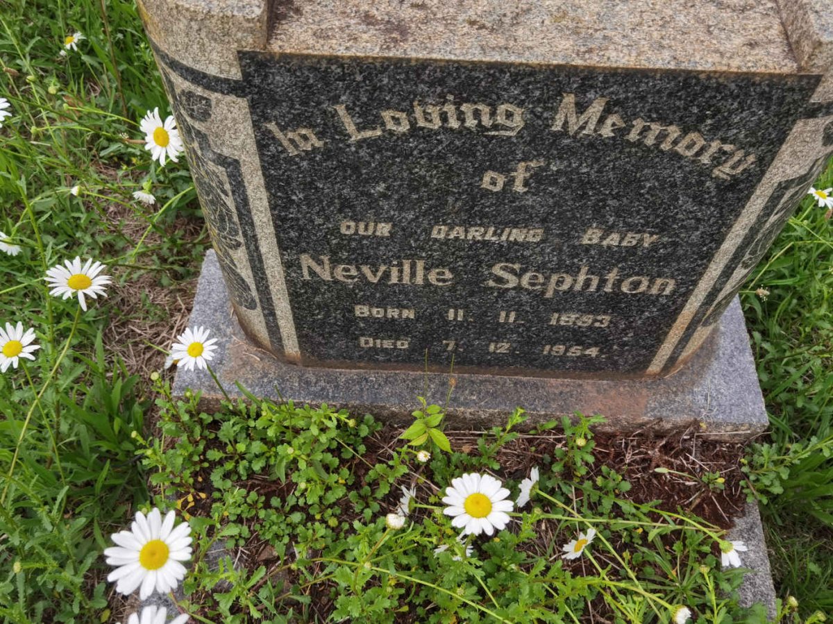 SEPHTON Neville 1953-1954