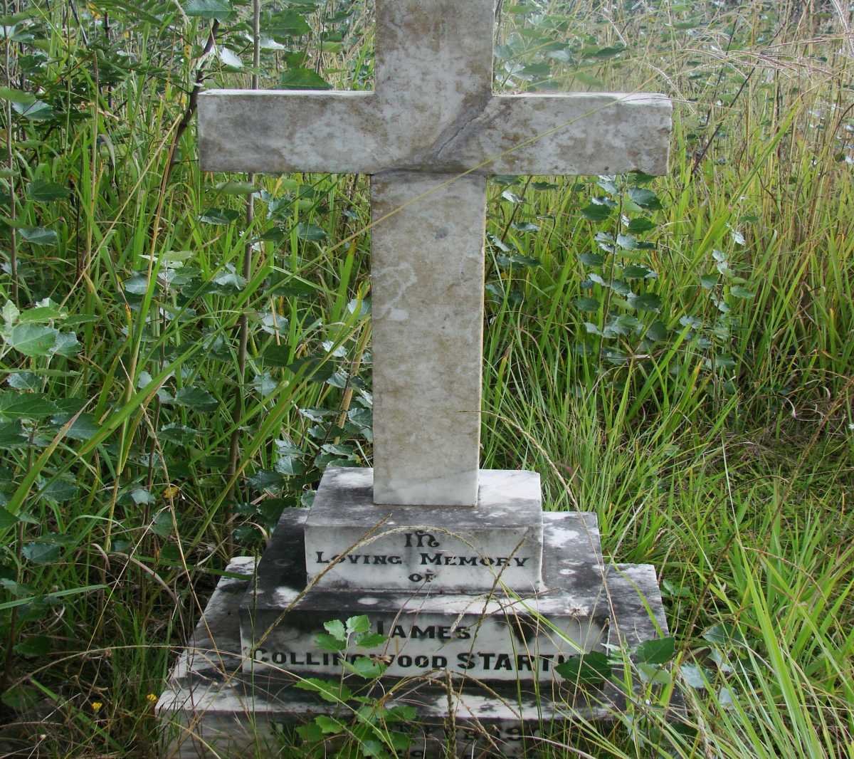 STARTUP James Collingwood