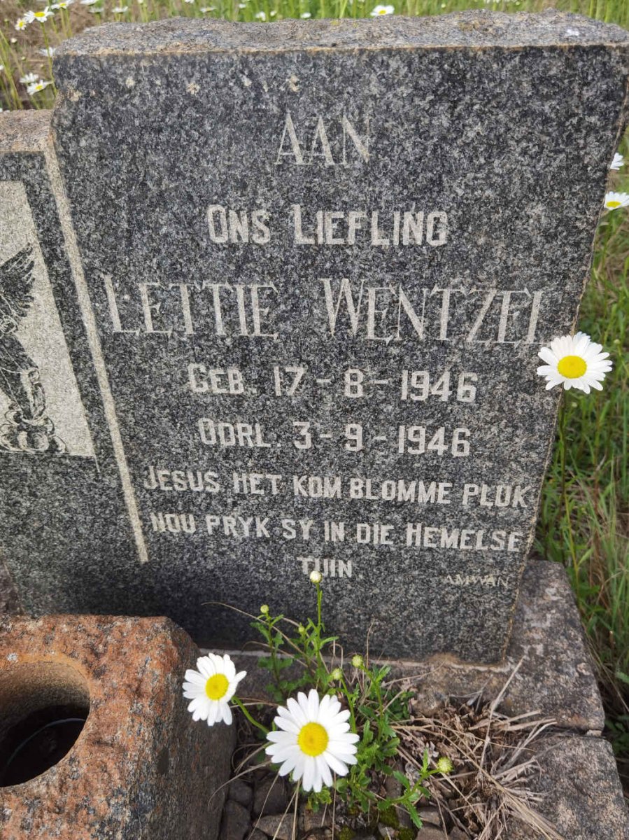 WENTZEL Lettie 1946-1946