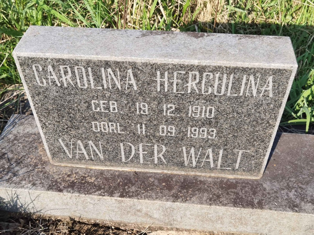 WALT Carolina Herculina, van der 1910-1993