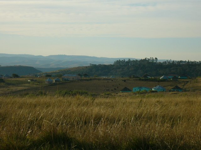 1. Overview