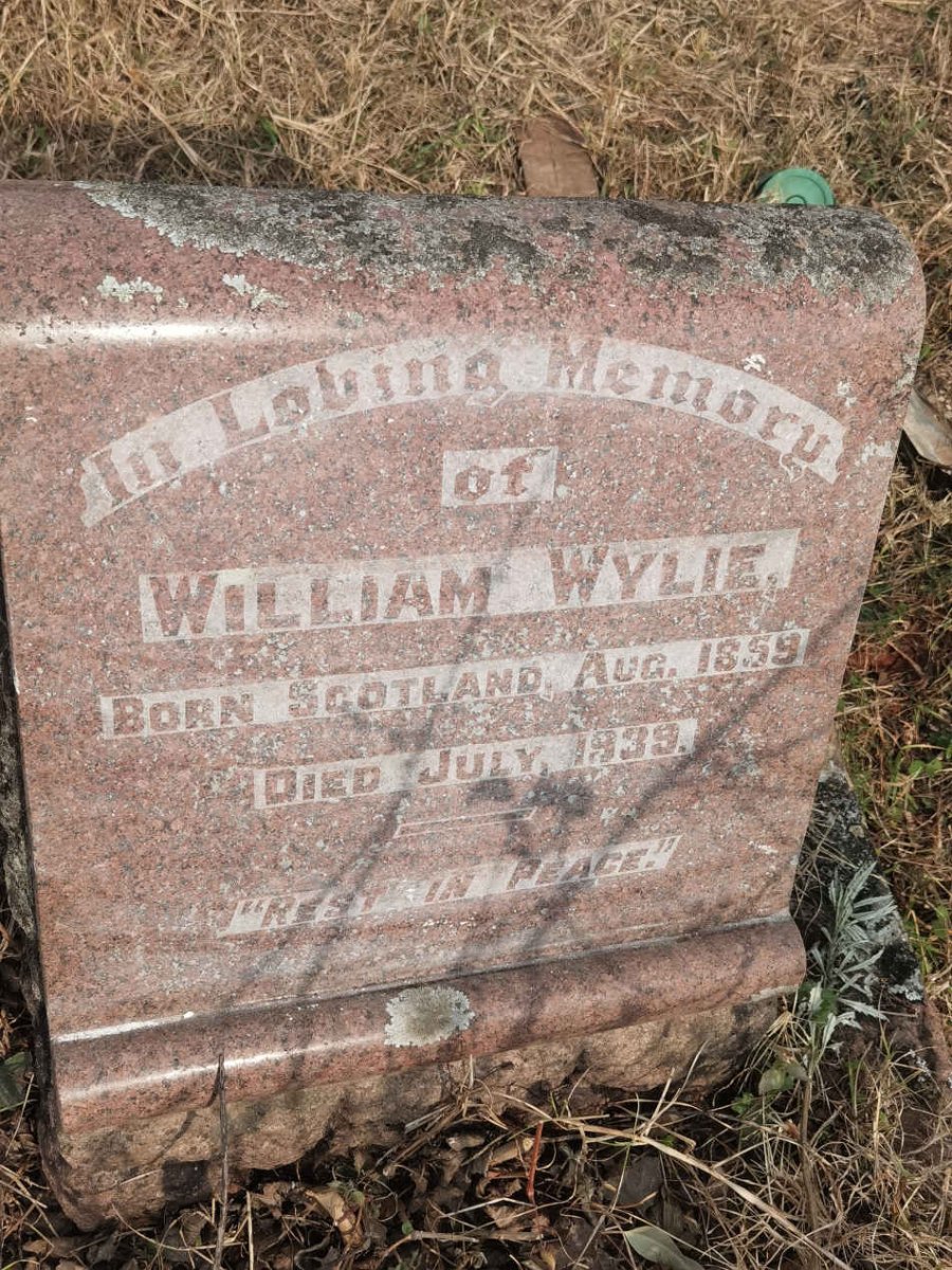 WYLIE William 1859-1939