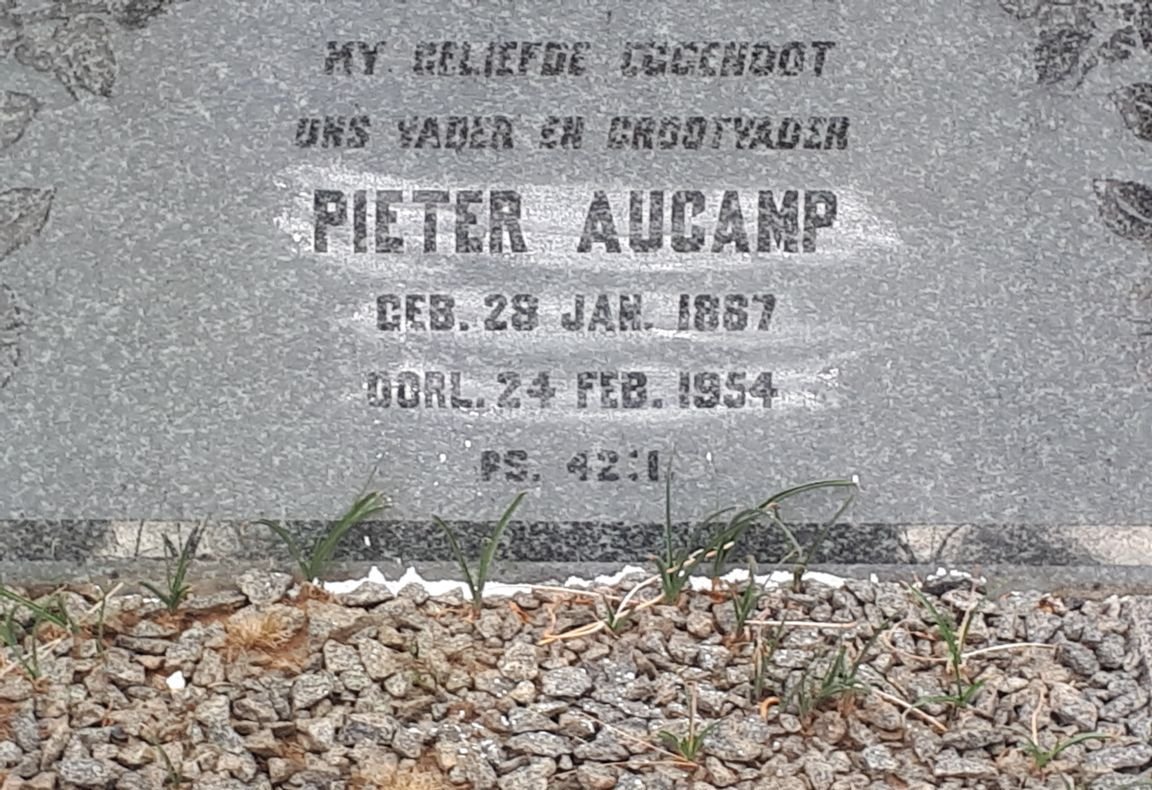 AUCAMP Pieter 1887-1954