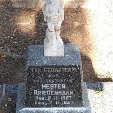 BRIEDENHANN Hester 1957-1957