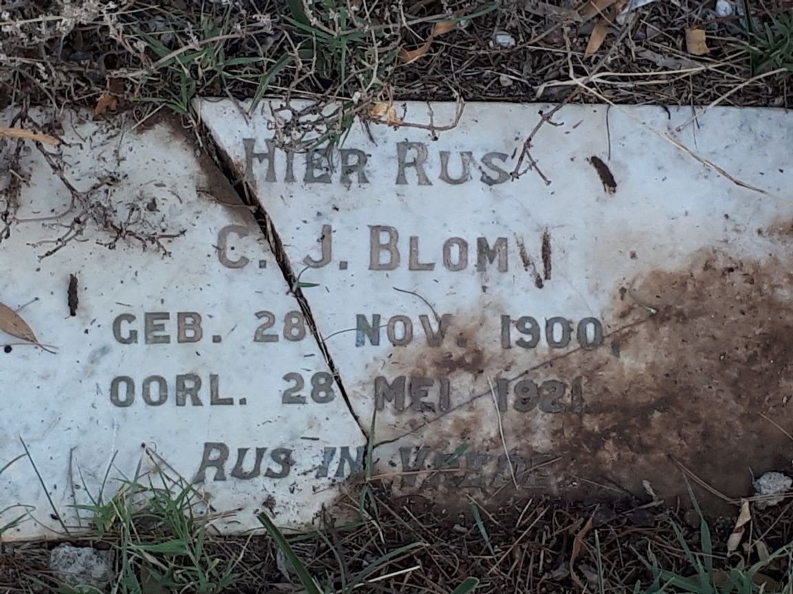 BLOM C.J. 1900-1921