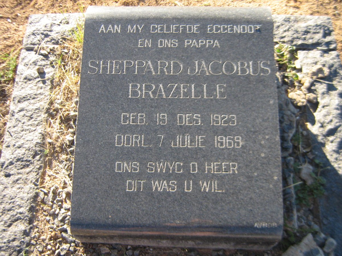 BRAZELLE Sheppard Jacobus 1923-1969