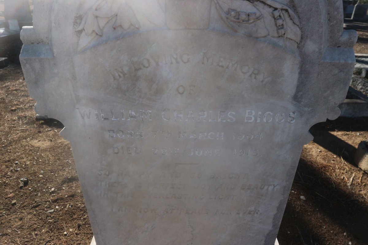 BIGGS William Charles 1904-1915