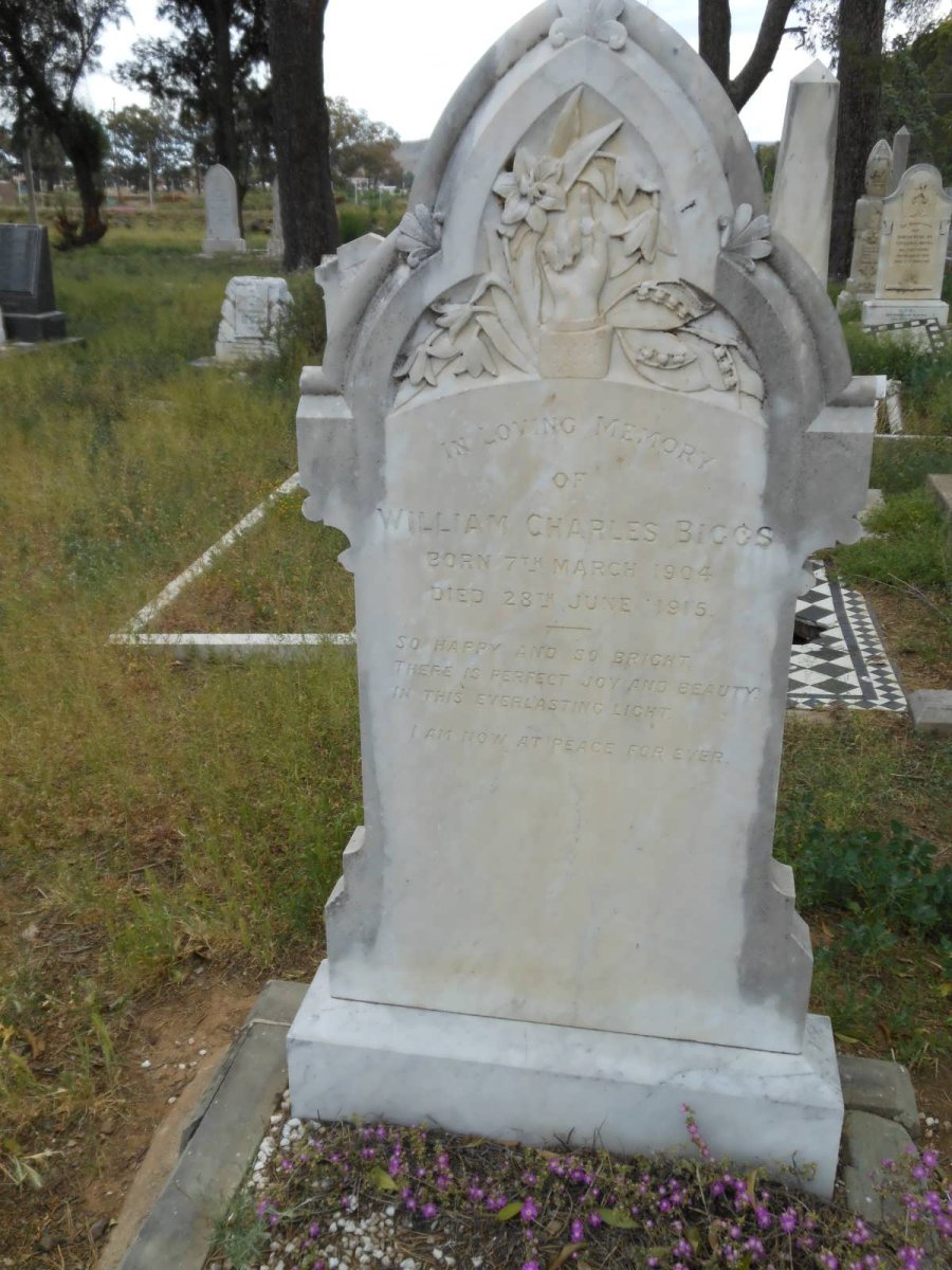 BIGGS William Charles 1904-1915