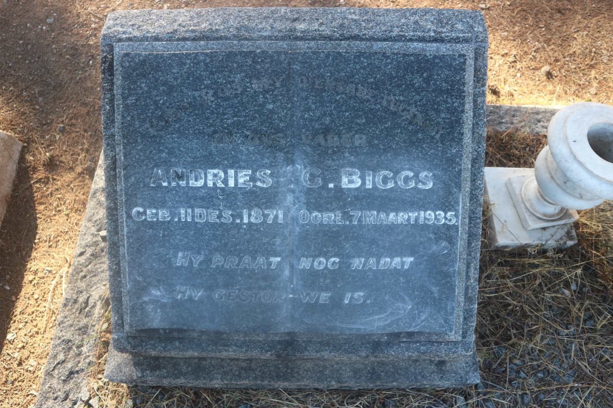 BIGGS Andries G. 1871-1935