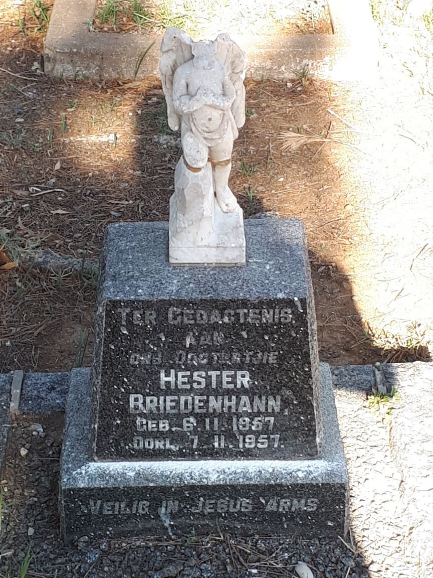 BRIEDENHANN Hester 1957-1957
